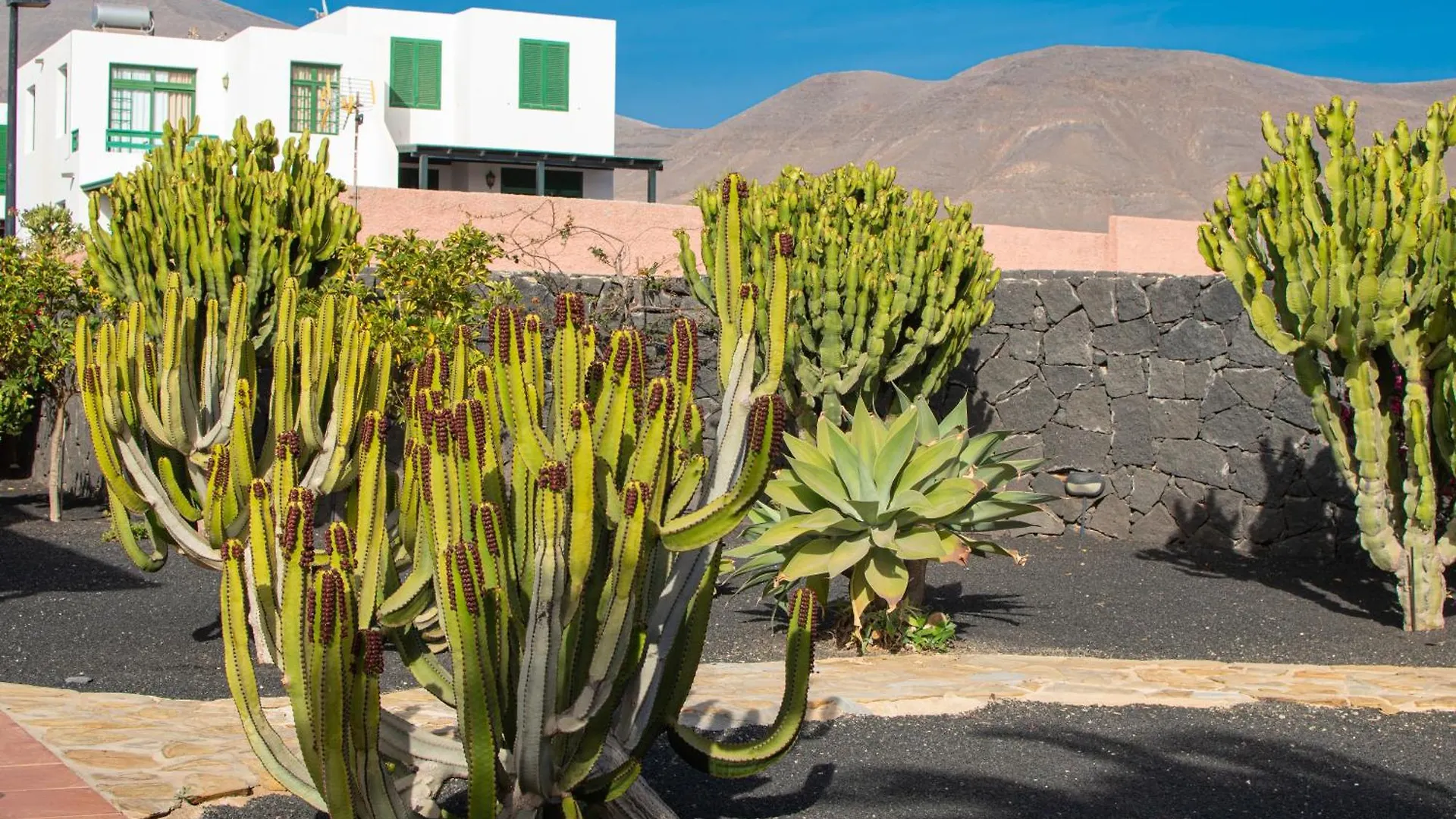Villa Papagayo Lanzarote Playa Blanca  Playa Blanca (Lanzarote)